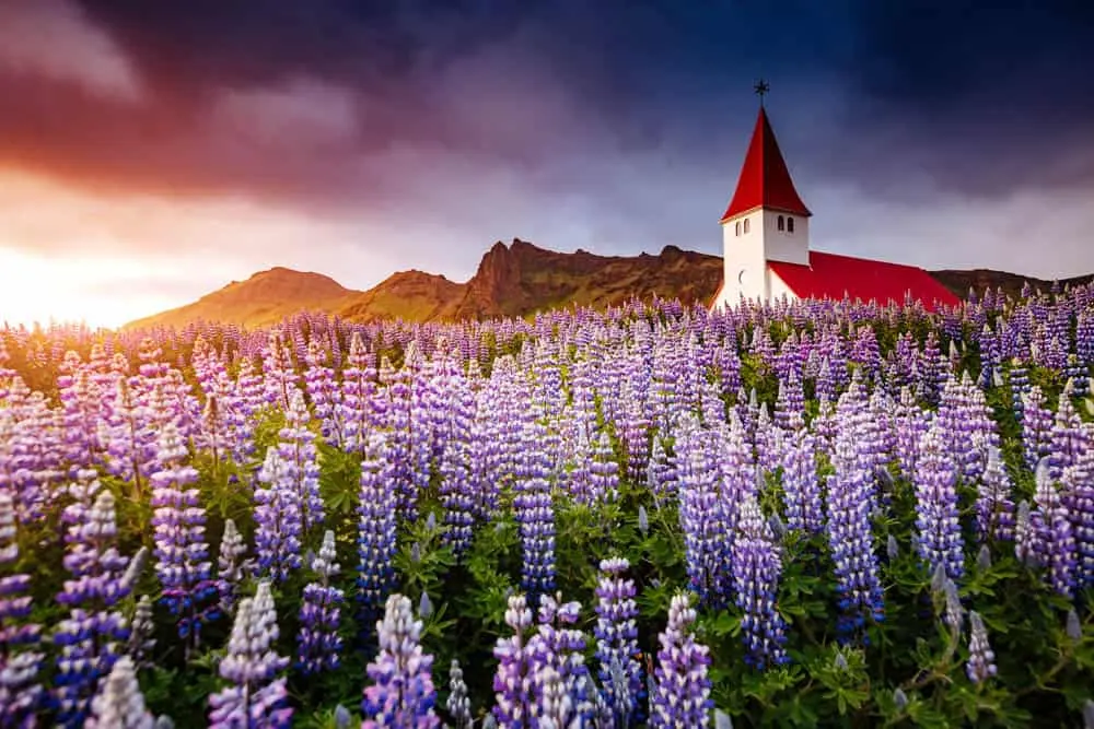ภาพประกอบโปรแกรมวันที่ 4: Vík → Skaftafell → Jökulsárlón