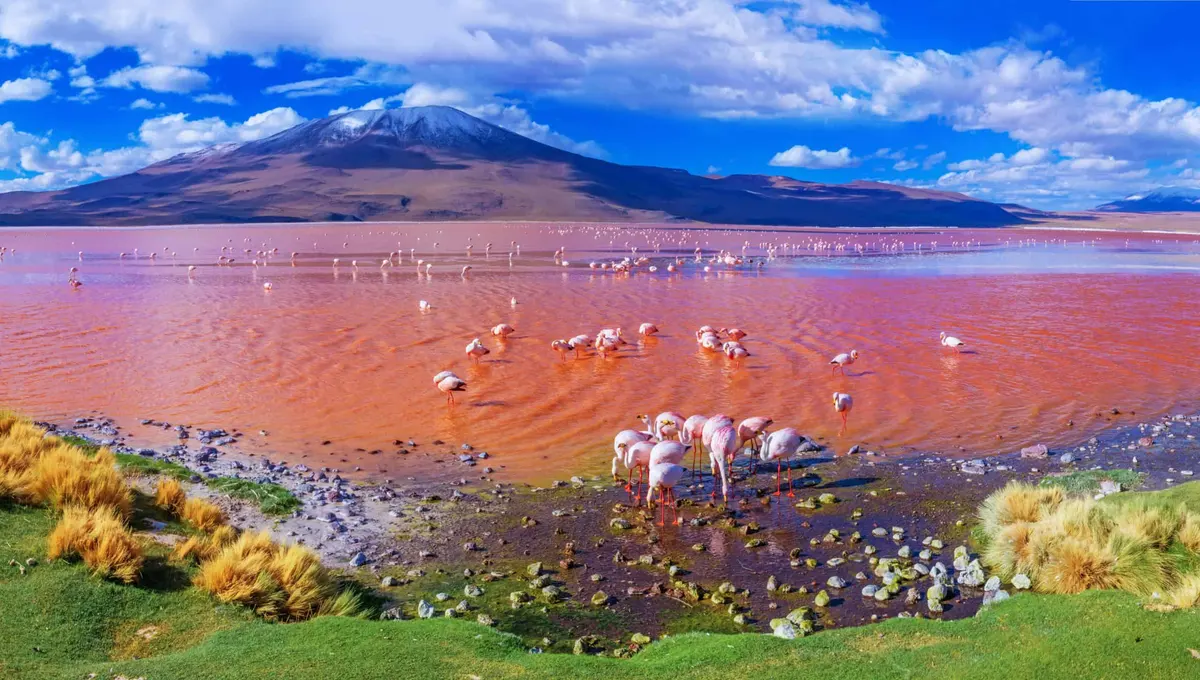 ภาพประกอบโปรแกรมวันที่ 12: Uyuni → Laguna Colorada