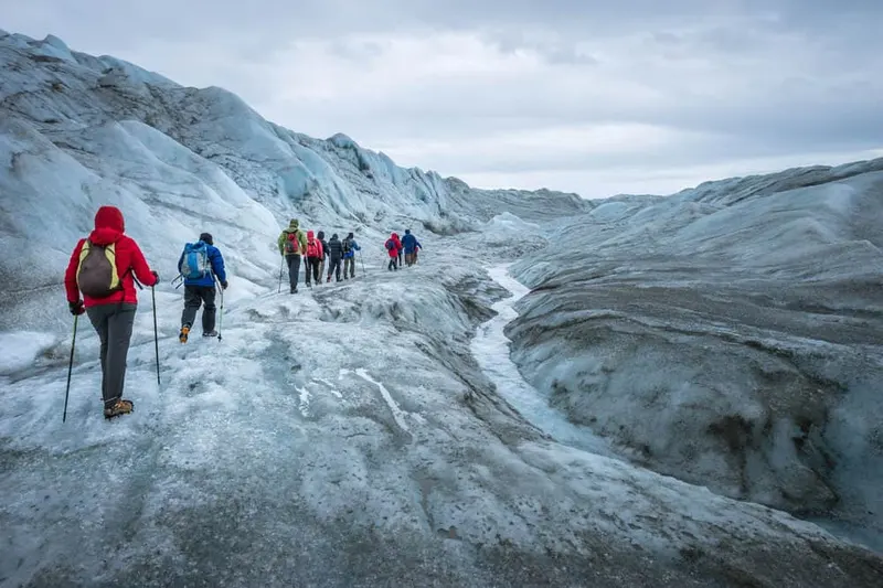 คังเกอร์ลุสซวก (Kangerlussuaq) - ทุนดราซาฟารี (Tundra Safari)