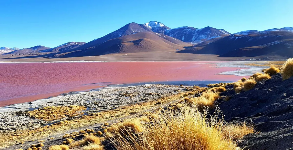 ภาพประกอบโปรแกรมวันที่ 12: Uyuni → Laguna Colorada