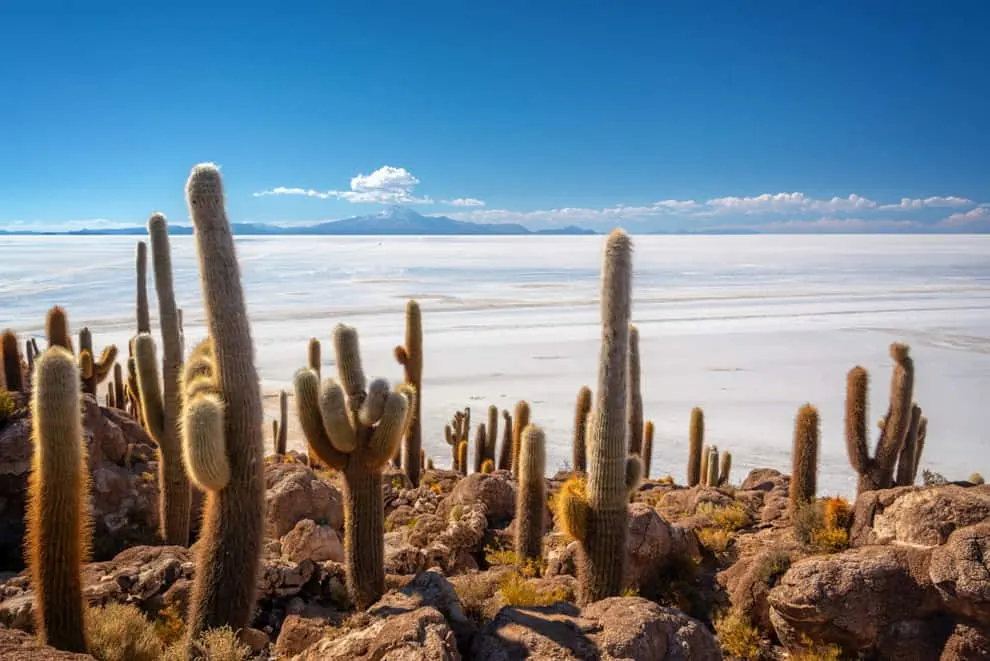 ภาพประกอบโปรแกรมวันที่ 11: La Paz → Uyuni