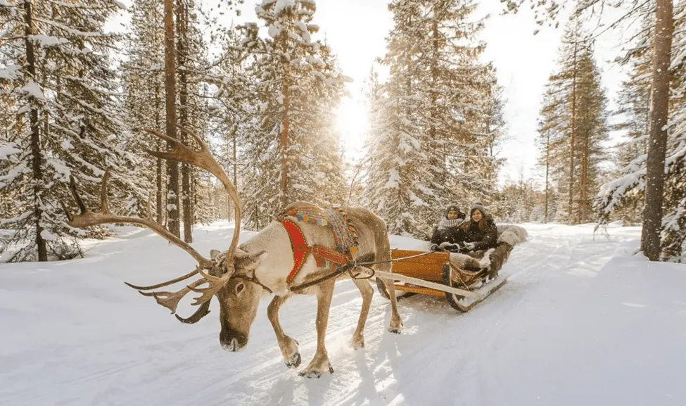 ภาพประกอบโปรแกรมวันที่ 2: Oulu
