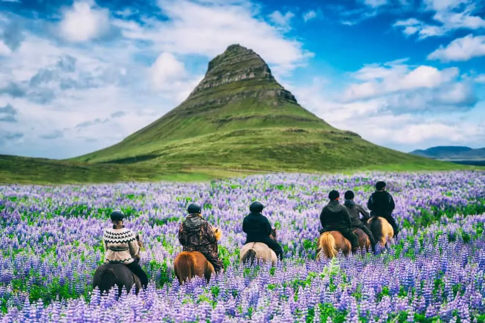 ภาพประกอบโปรแกรมวันที่ 8: Stykkishólmur → Grundarfjörður → Snæfellsnes