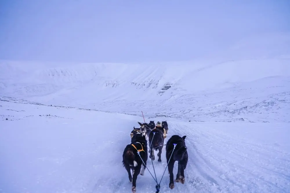 ภาพประกอบโปรแกรมวันที่ 7: Svalbard